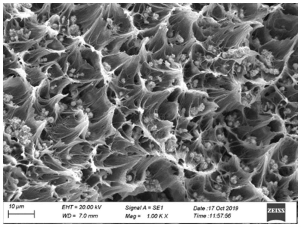 Heating film for low-temperature lithium ion battery and preparation method and application of heating film