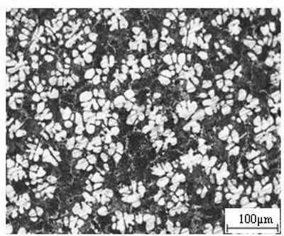 A hypoeutectic al-mg  <sub>2</sub> Modification and refinement method of si alloy