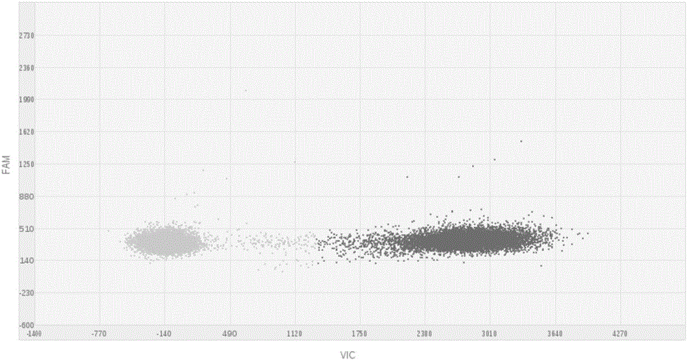 Kit, reaction system and method for detecting human EGFR gene mutation