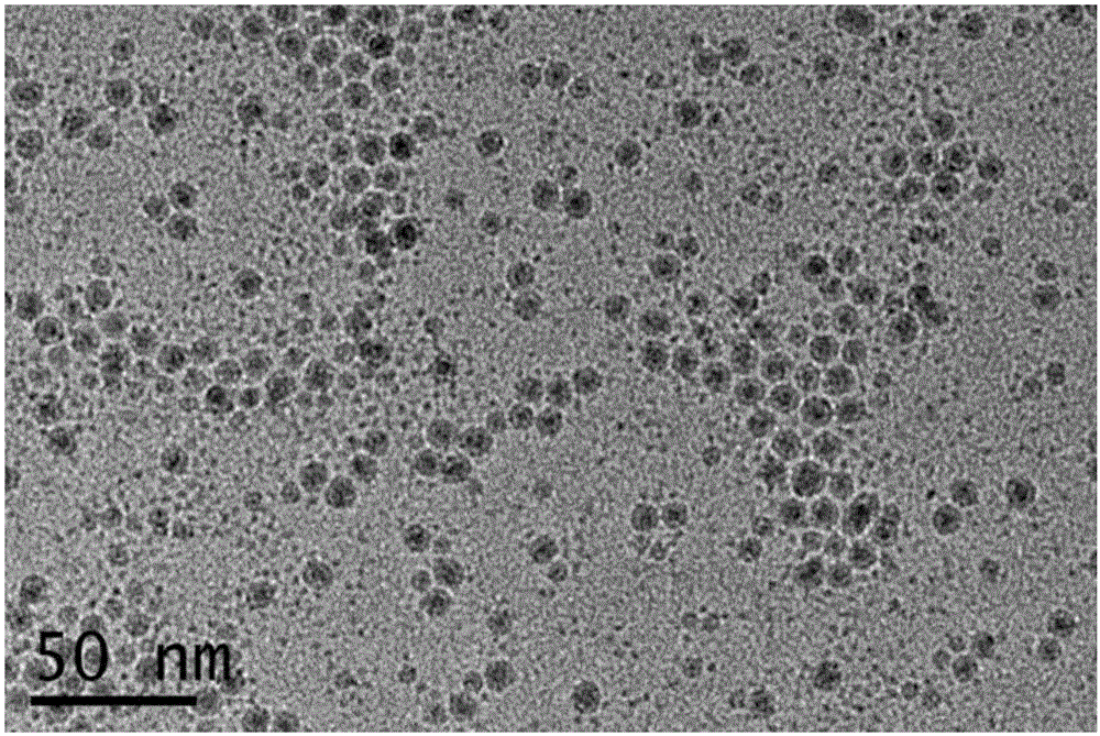 Method for promoting nanoparticles to enter cells efficiently based on nanosecond pulsed electric field