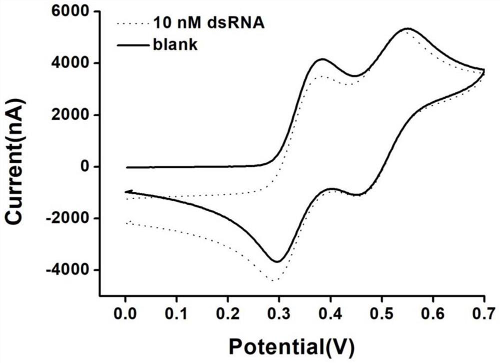 Electrochemical sensor based on triblock probe and application of electrochemical sensor in detection of transgenic double-stranded RNA