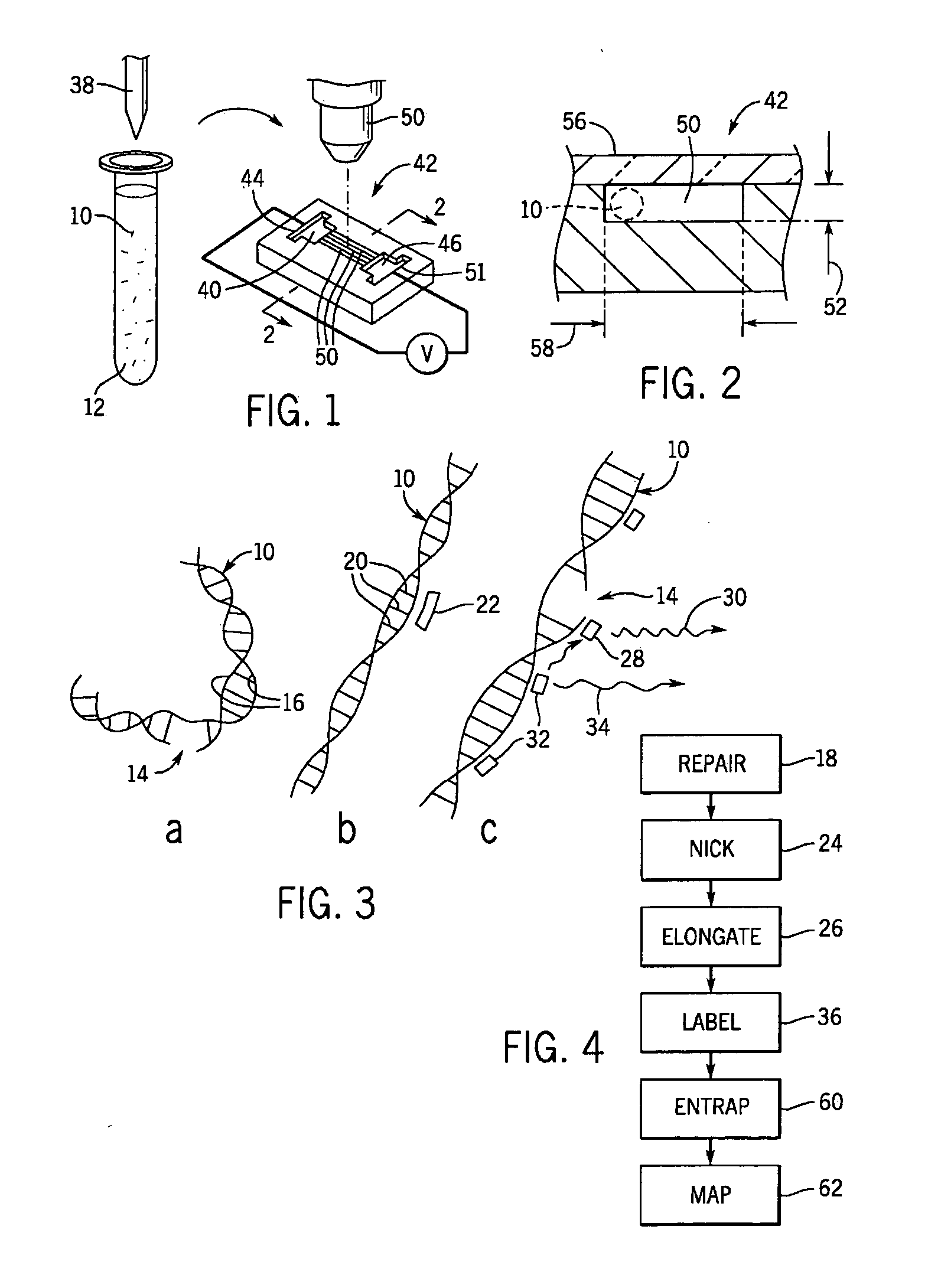 Method of DNA analysis using micro/nanochannel