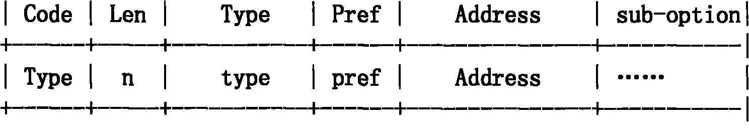 Carrier-grade network address translation equipment discovery method, equipment and system