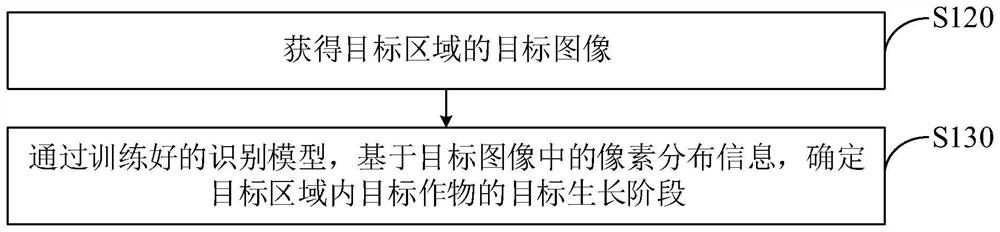 Growth stage determination method and device, agricultural system, equipment and storage medium