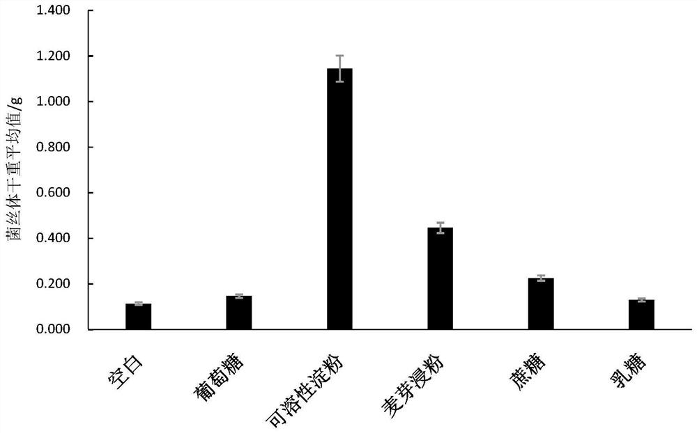 Lucid ganoderma strain L4495 as well as cultivation method and application thereof