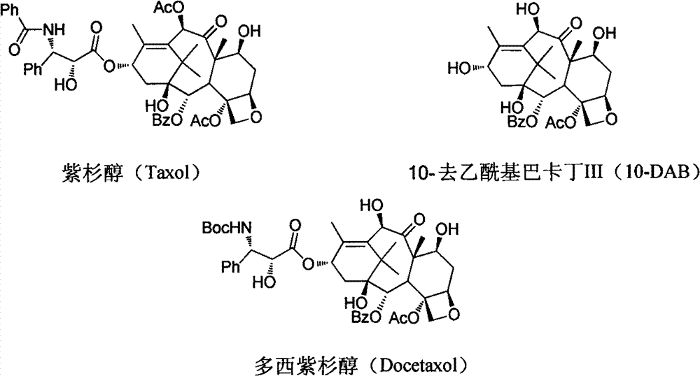 Improved method for semi-synthesizing docetaxel