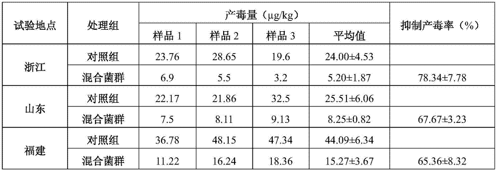 Aspergillus flavus strains and mixed flora that do not produce aflatoxin and their application