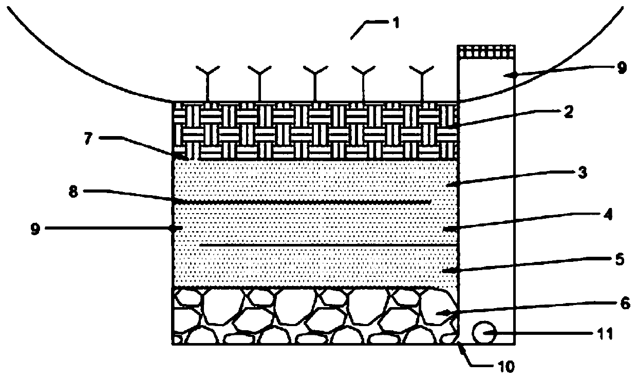 Biological detention pond for improving ability of nitrogen and phosphorus removal