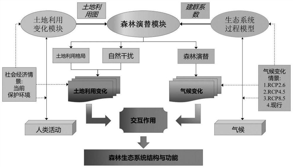 High-resolution land utilization and forest landscape process coupling simulation system and method