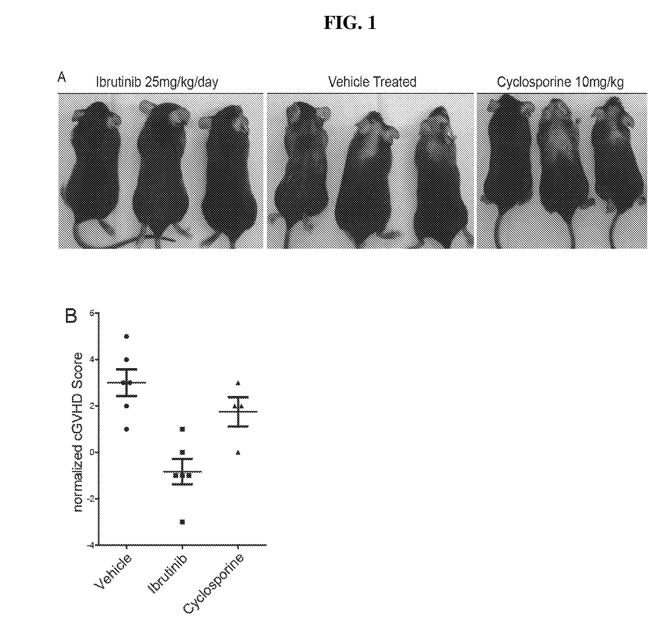 Methods of treating and preventing graft versus host disease