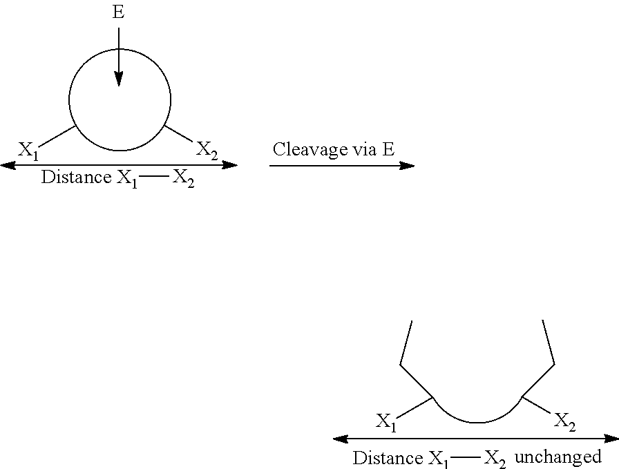 Fluorescent cyclic peptides, preparation method thereof and use of these peptides for measuring the enzymatic activity of a protease enzyme