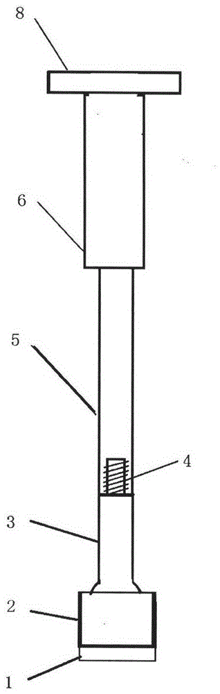 Cancellous bone bed shaper for medical cartilage graft recipients