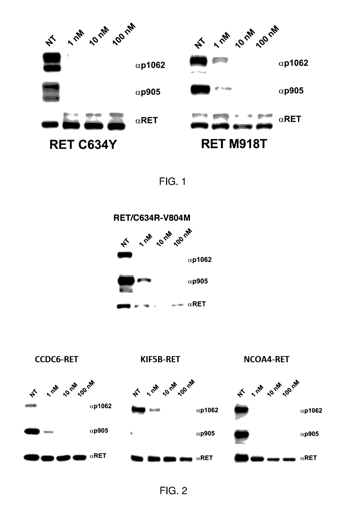 Benzimidazole analogues and related methods