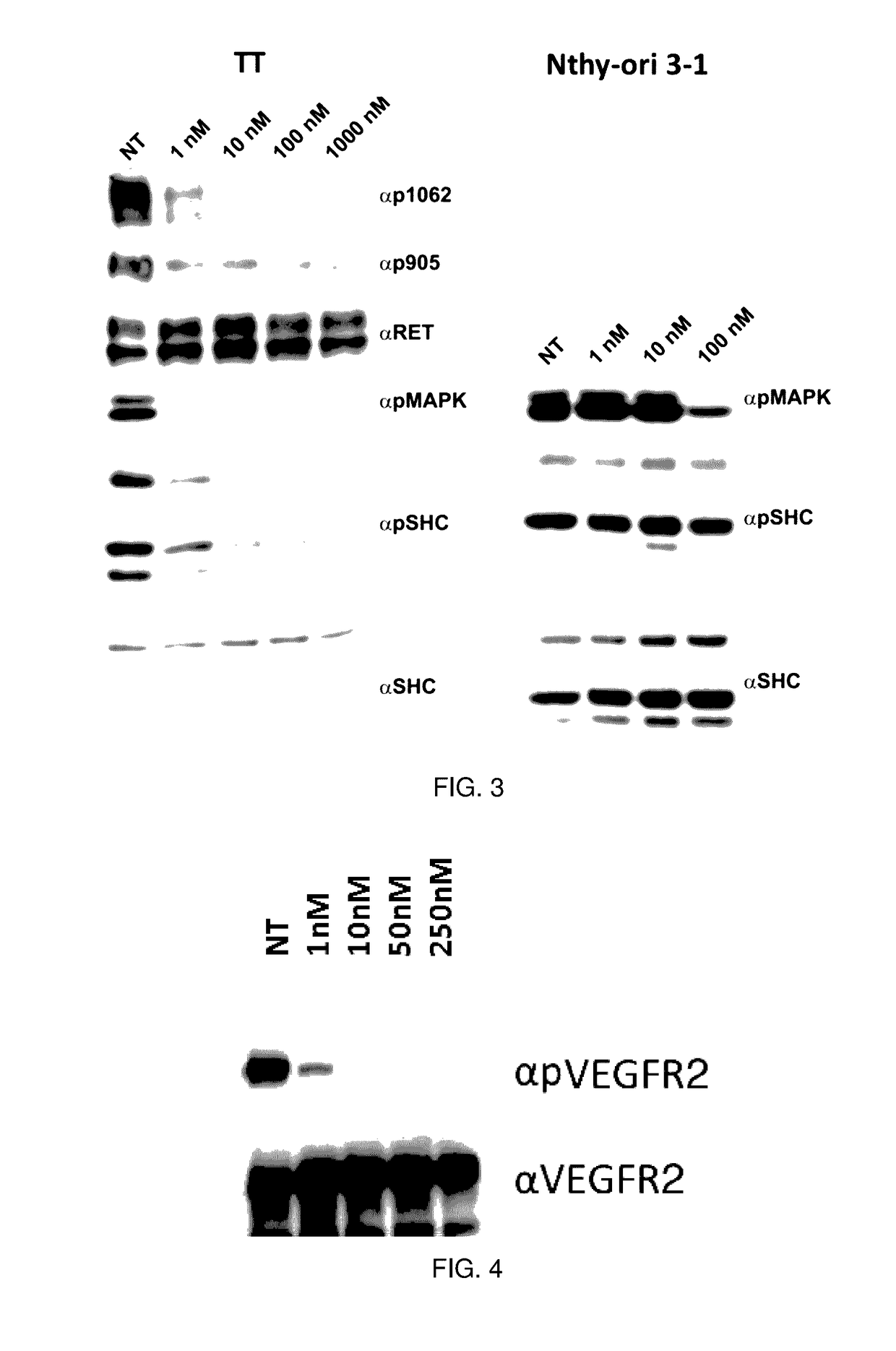 Benzimidazole analogues and related methods