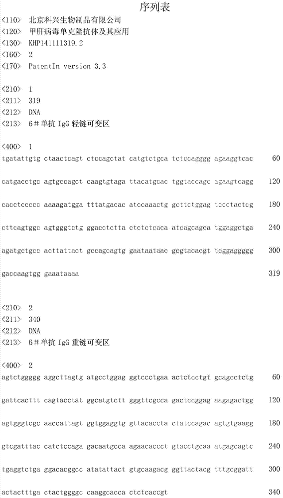 Hepatitis A virus monoclonal antibody and its application