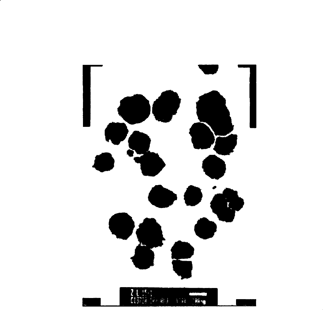 Nanometer vauqueline liposome and preparation method thereof