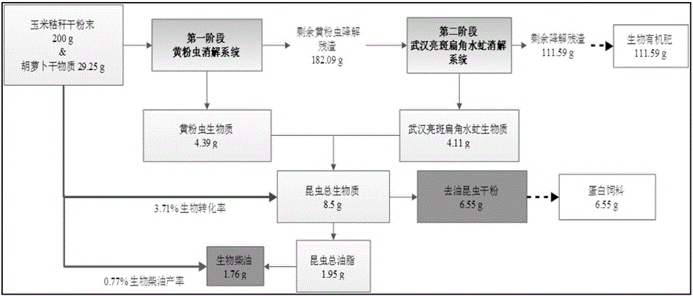 Method for producing insect proteins and grease by efficient conversion of crop straws through multi-stage cooperation of insects