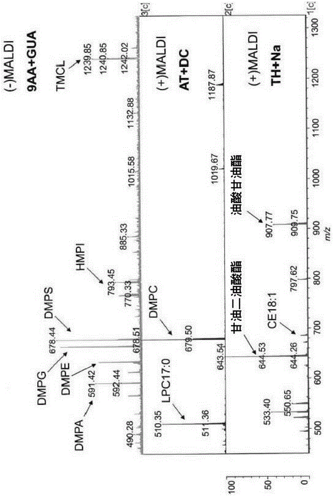 Microbial analysis