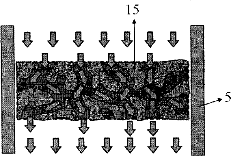 Perfusion Bioreactor System