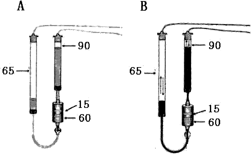 Perfusion Bioreactor System