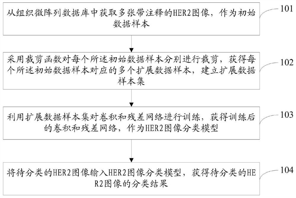 HER2 image classification method and system based on convolution and residual networks