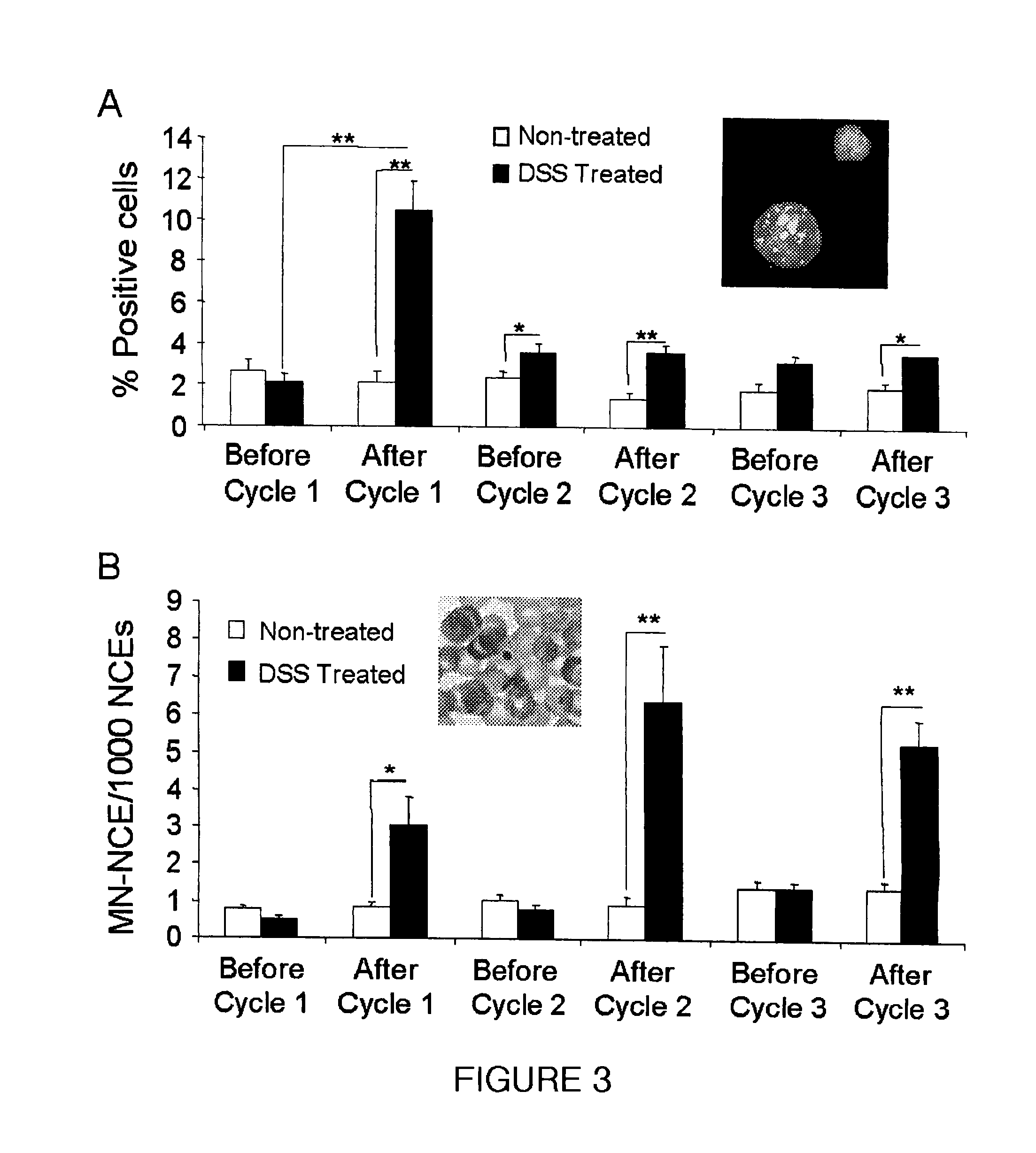 Genotoxicity as a biomarker for inflammation