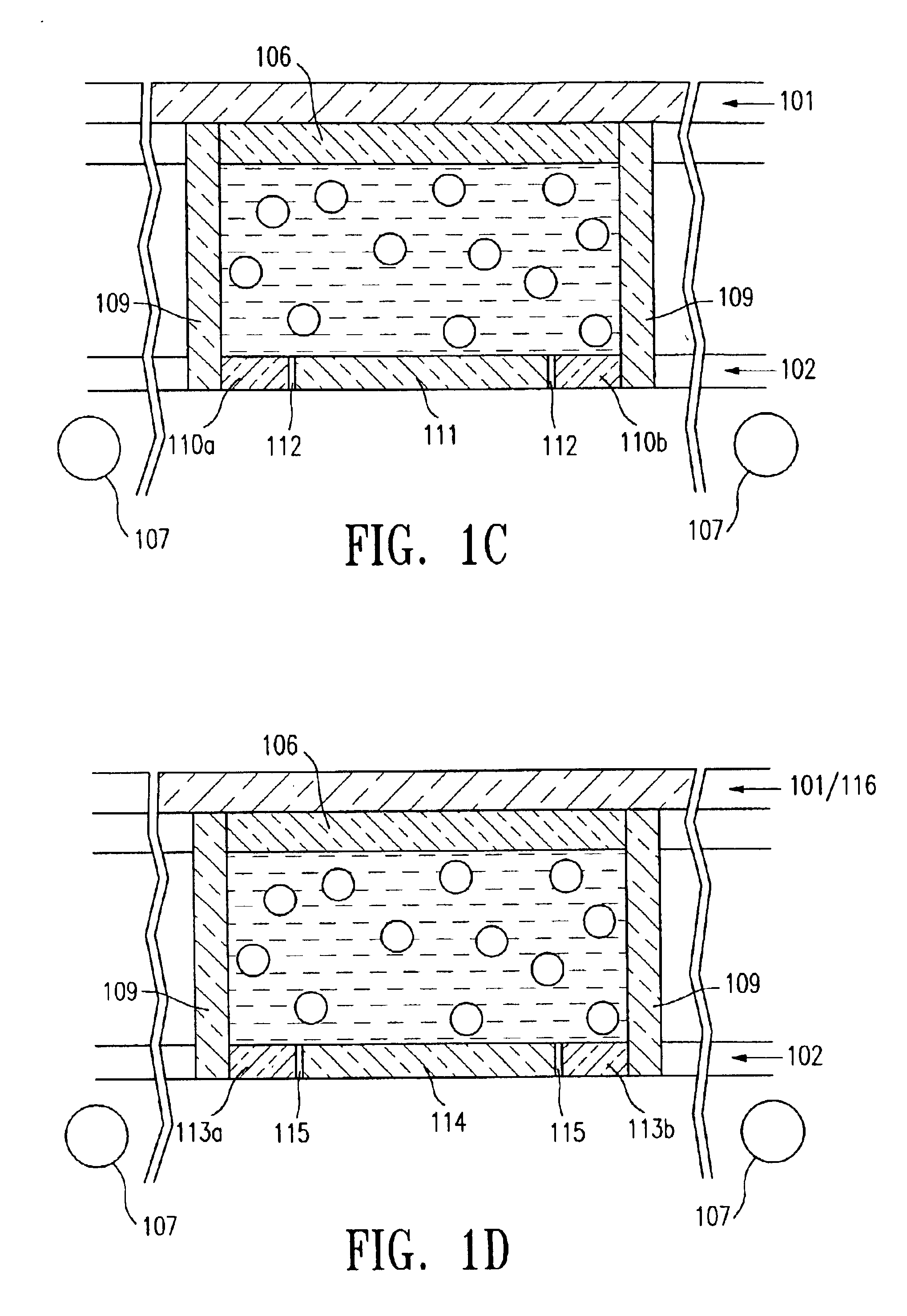 Transflective electrophoretic display