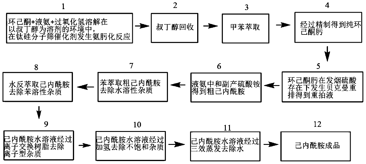 Gas chromatography detection method in caprolactam production process