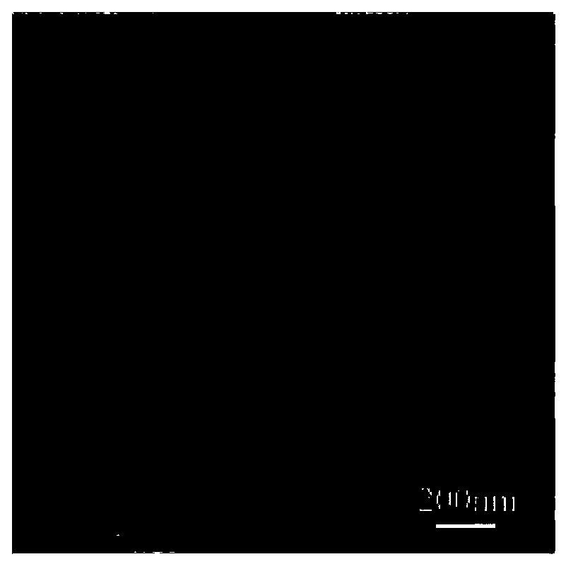 Method for preparing two-dimensional self-supporting ultrathin transition metal sheets