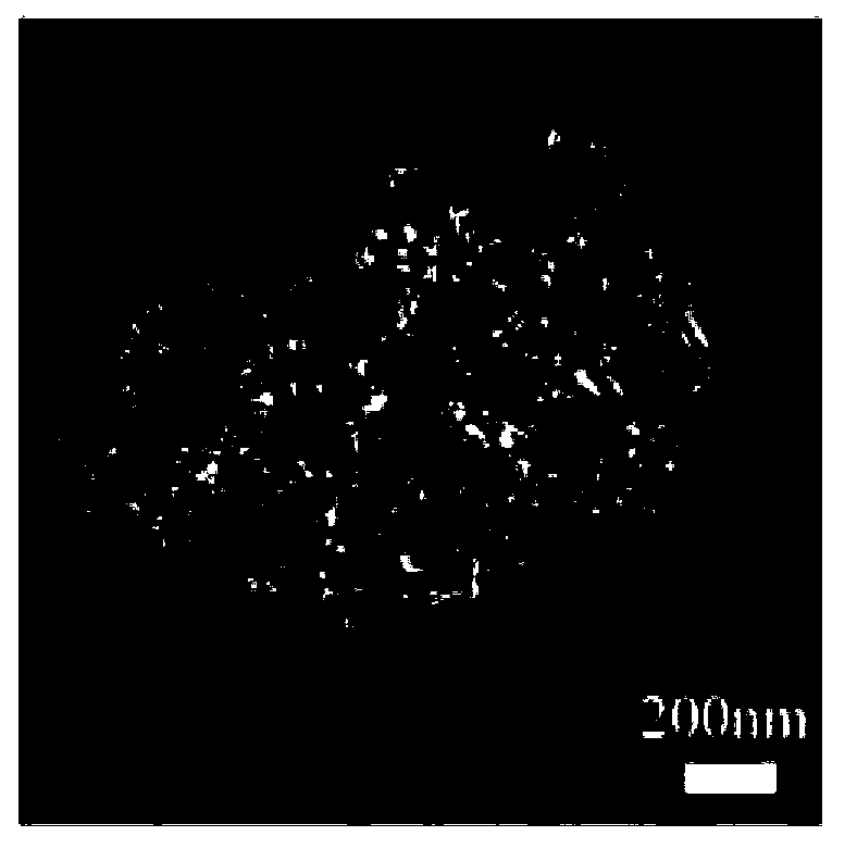 Method for preparing two-dimensional self-supporting ultrathin transition metal sheets