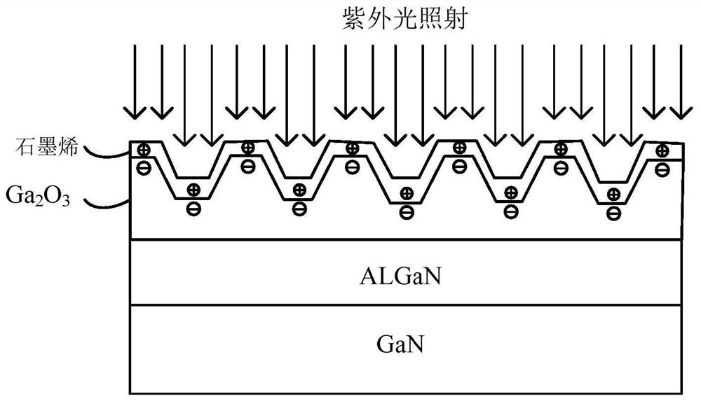 Ultraviolet band adjustable photoelectric detector with transparent conductive structure and production method of ultraviolet band adjustable photoelectric detector