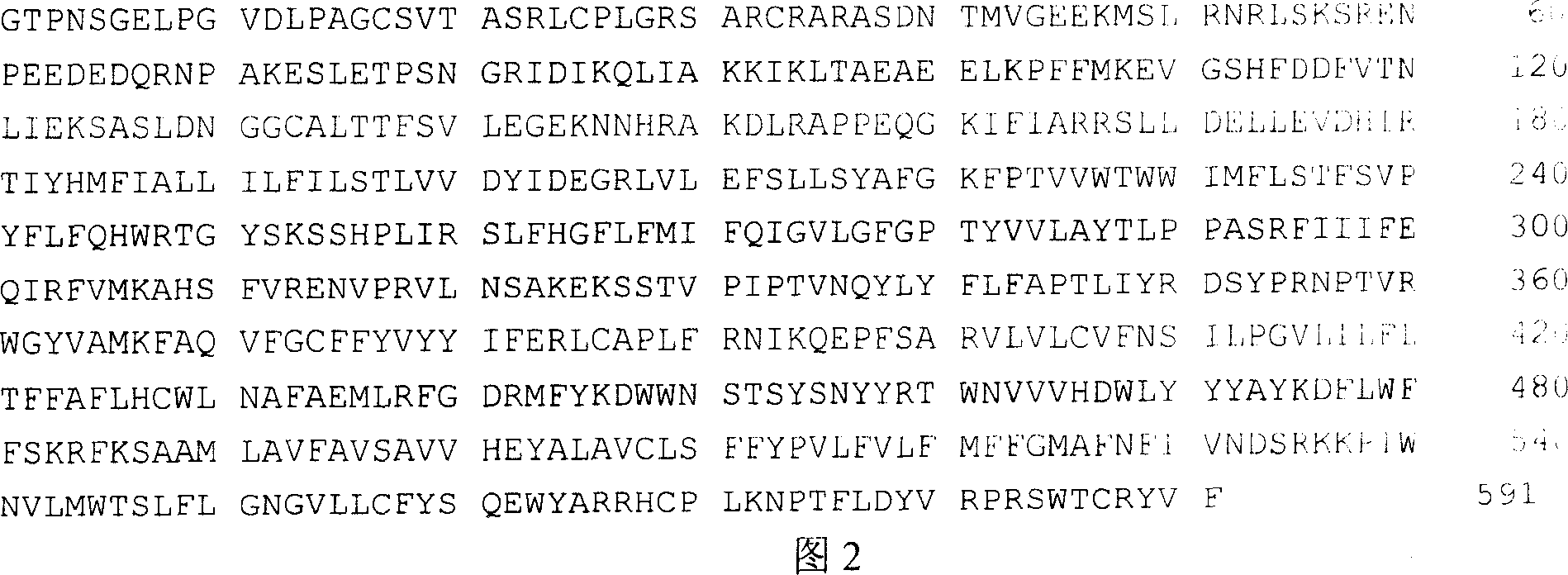 Synthetase-1b for human cholesterol ester and coded sequence