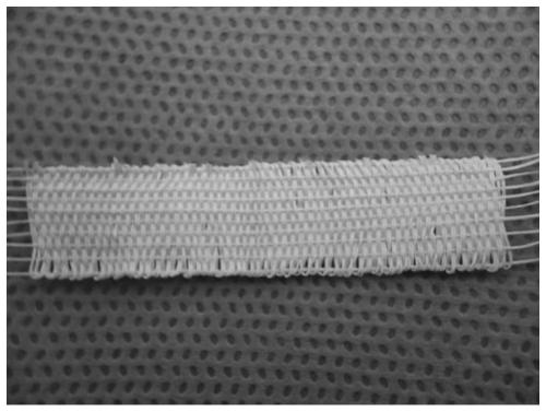 Integrated scaffold for simulating gradient structure from bone-tendon-bone mineralization to non-mineralization