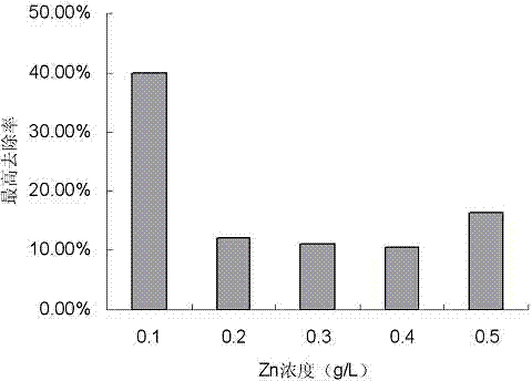 Pseudomonas aeruginosa and application of Pseudomonas aeruginosa in heavy metal ion removing