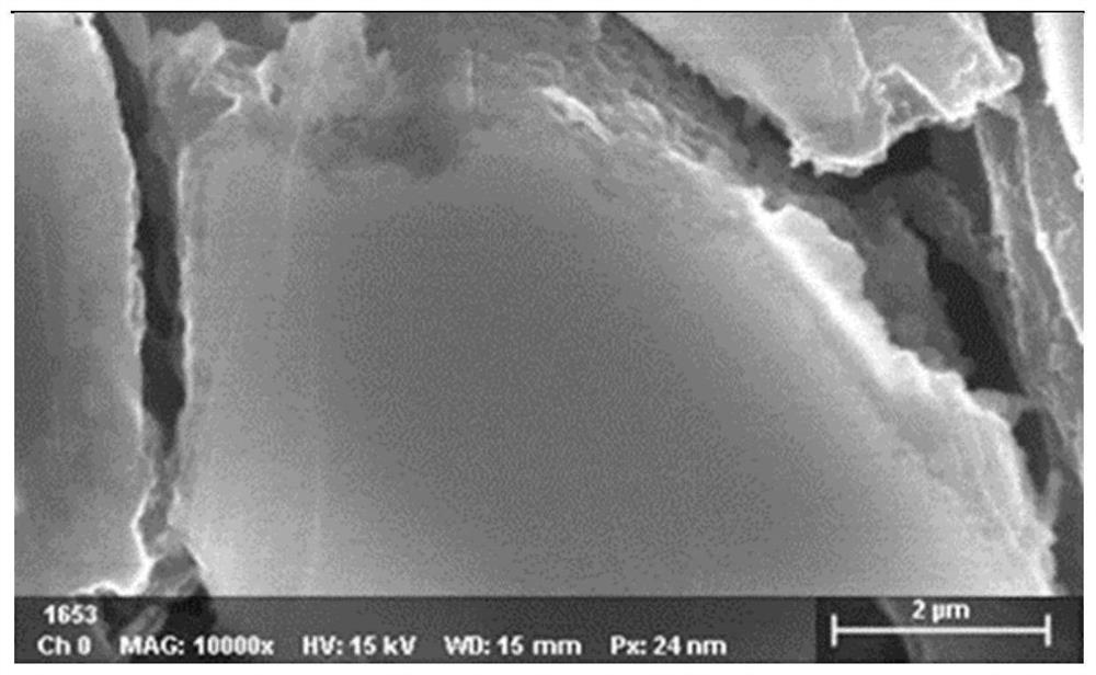 Negative plate and lithium ion battery