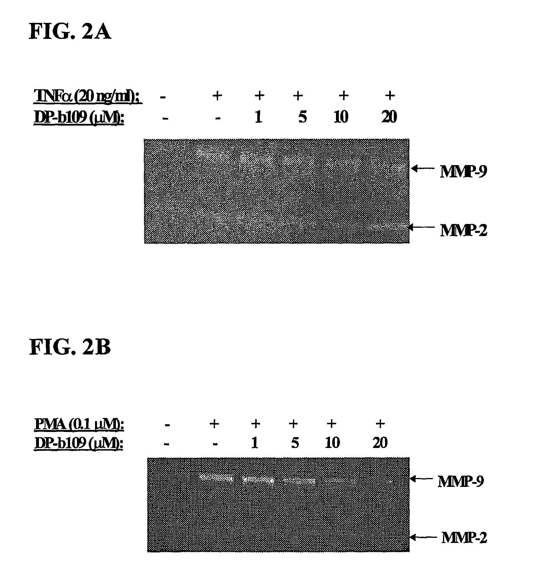 Lipophilic diesters of chelating agent for inhibition of enzyme activity