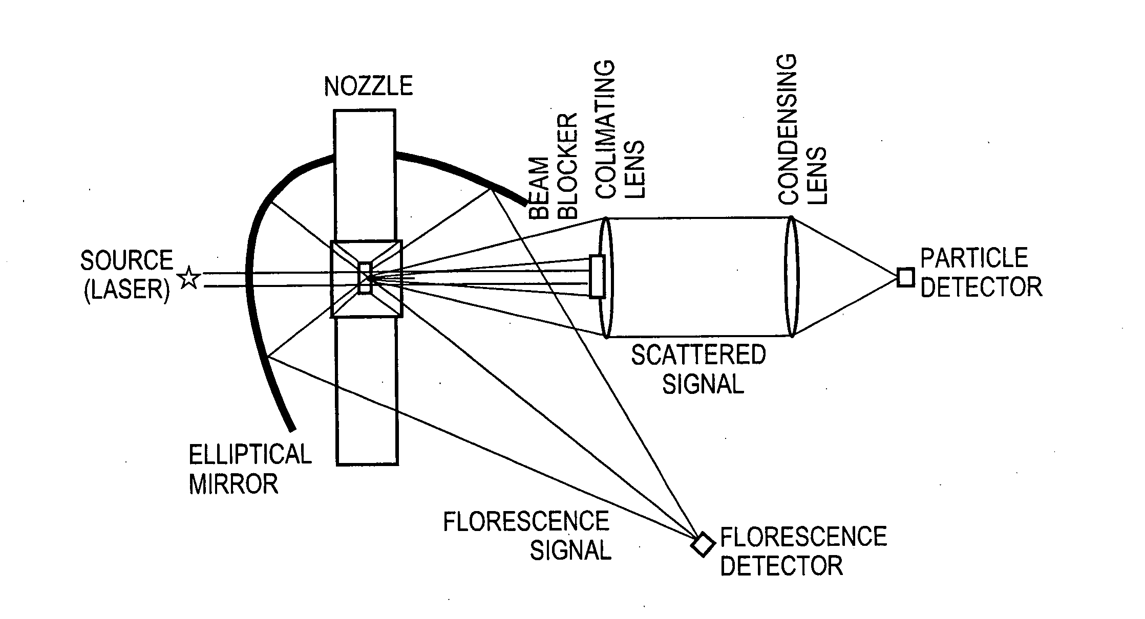 Pathogen detection by simultaneous size/fluorescence measurement