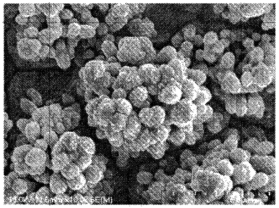 Copper foil excellent in adhesion to resin, method for producing same, and negative electrode material for printed wiring board or battery using the same