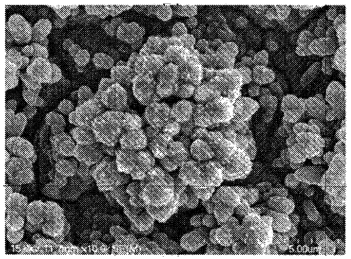 Copper foil excellent in adhesion to resin, method for producing same, and negative electrode material for printed wiring board or battery using the same