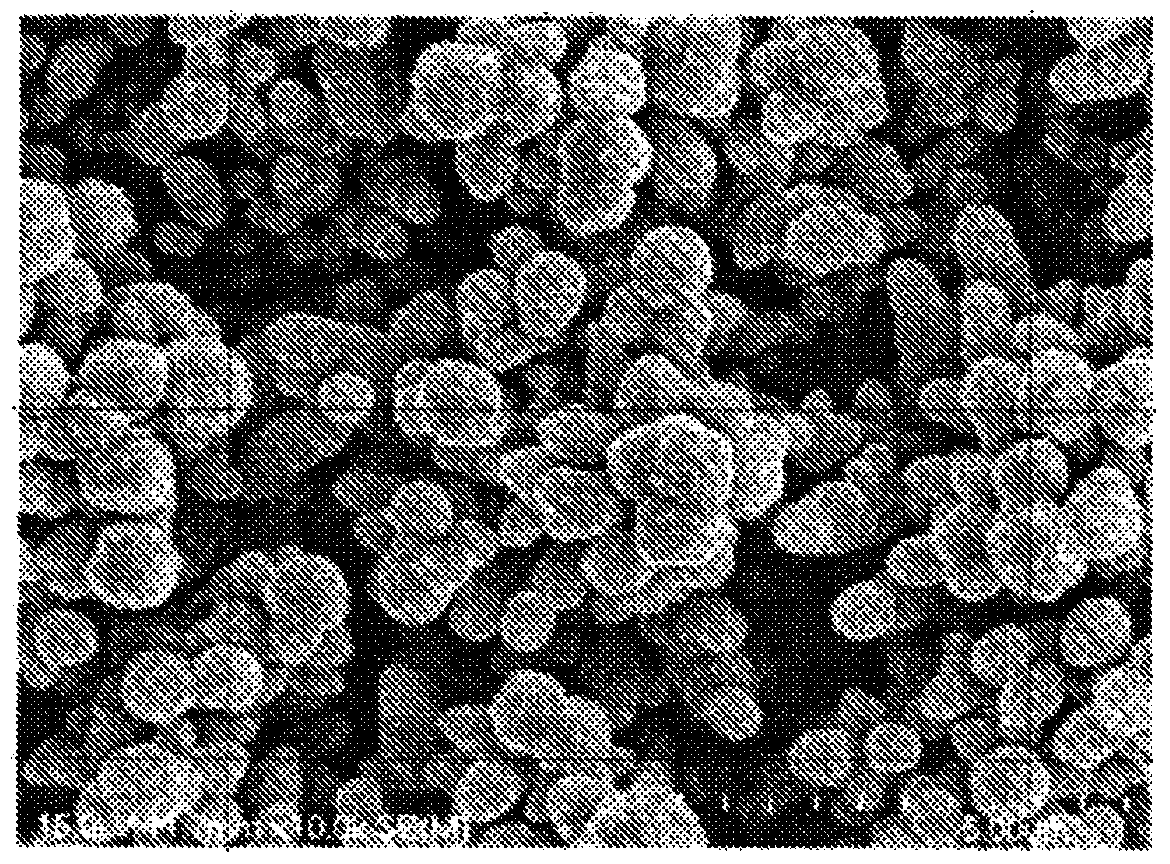 Copper foil excellent in adhesion to resin, method for producing same, and negative electrode material for printed wiring board or battery using the same