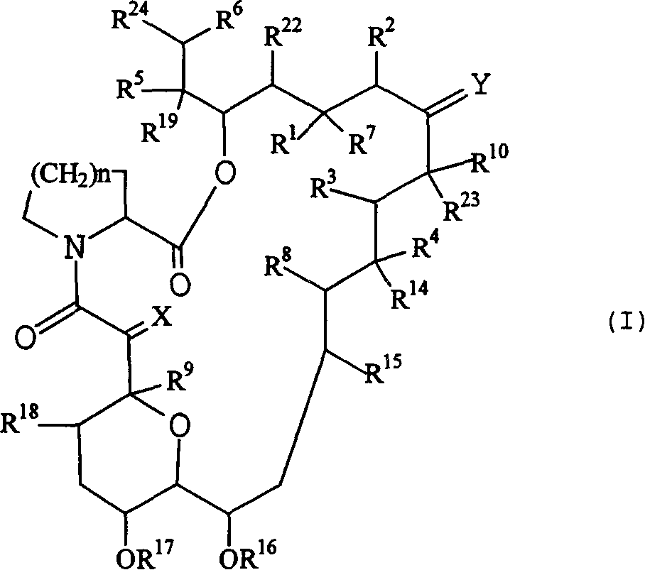 Pharmaceutical compositions comprising FK506 derivatives and the ir use for the treatment of allergic diseases