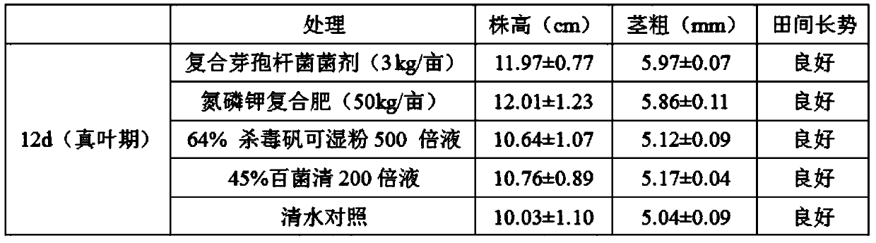 Complex bacillus agent as well as preparation method and application thereof