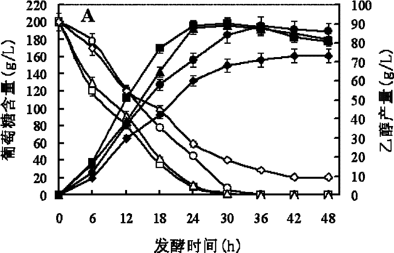 Saccharomyces cerevisiae strain with multiple-stress resistance, and application thereof in cellulose alcohol fermentation