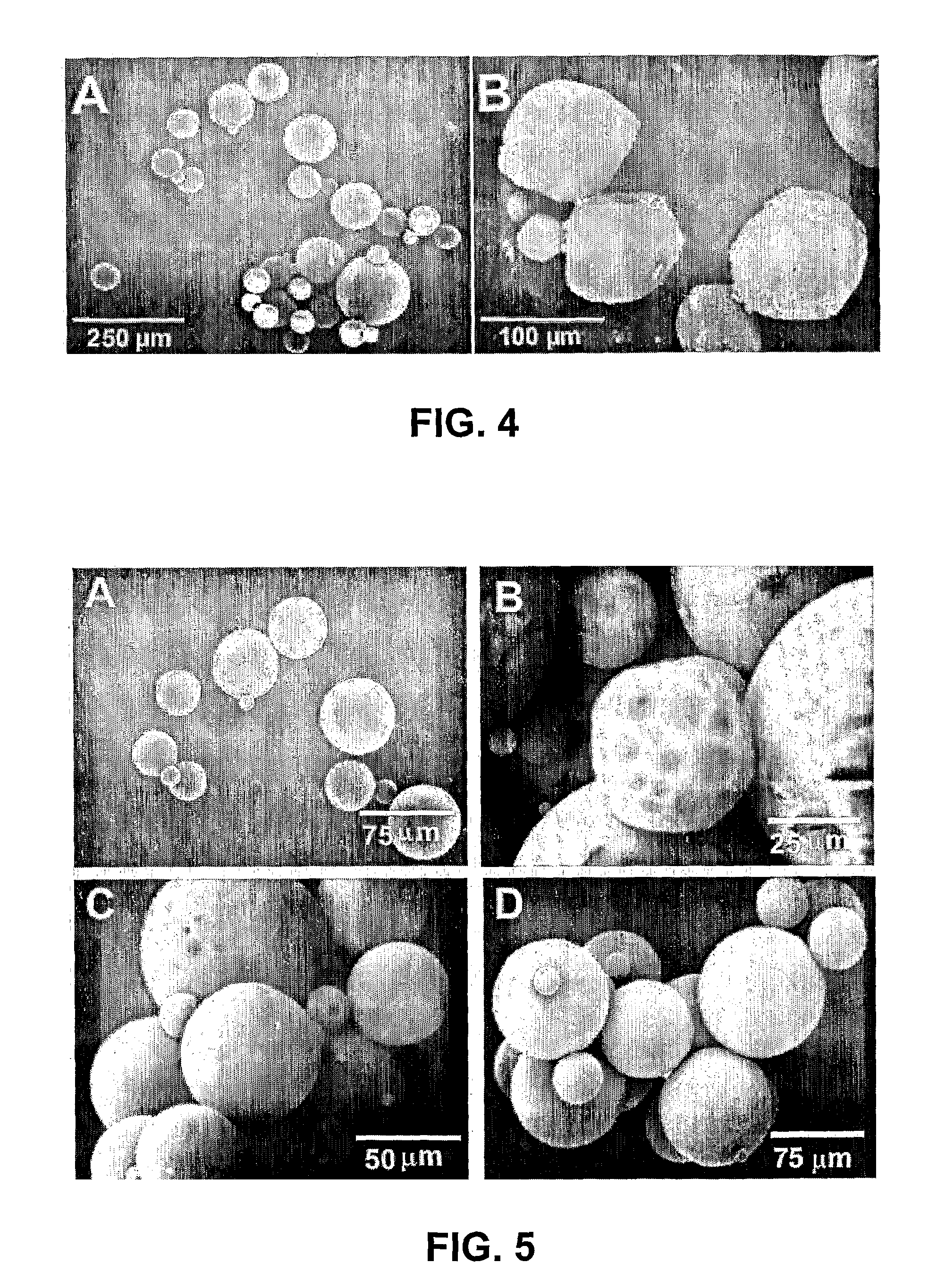 Hollow and porous orthopaedic or dental implant that delivers a biological agent