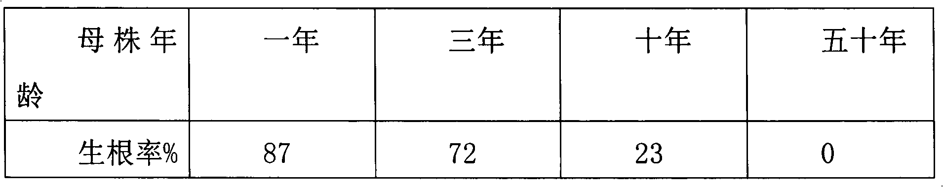 Cutting propagation method of zelkova tree