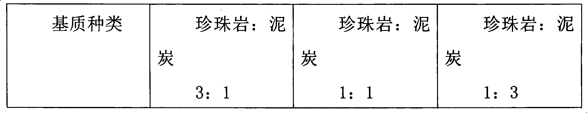 Cutting propagation method of zelkova tree