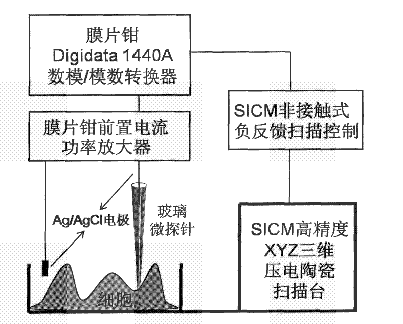 Apparatus and method for rapidly assessing nano-material on biological security of breathing system