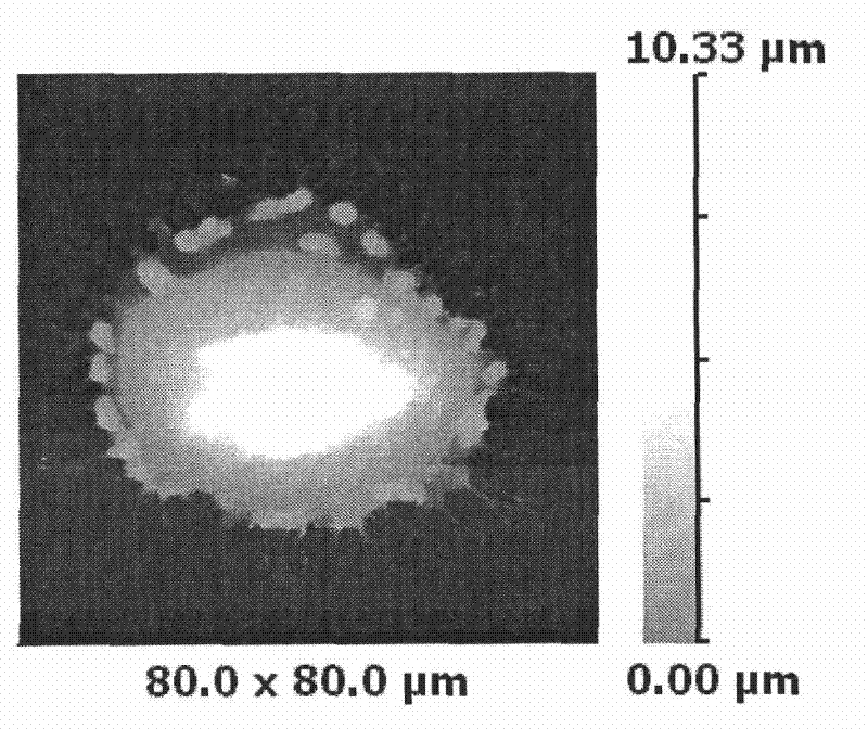 Apparatus and method for rapidly assessing nano-material on biological security of breathing system