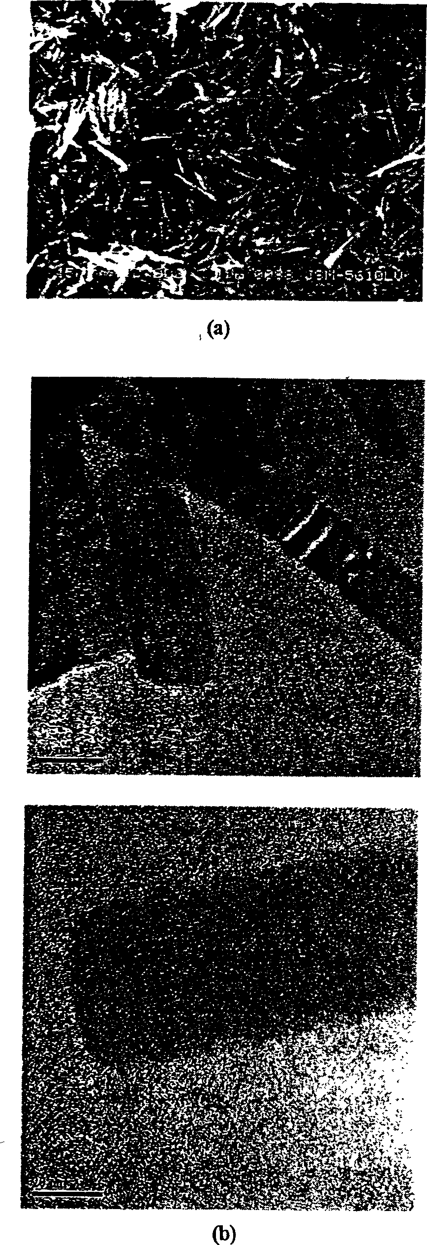 Vanadium dioxide nanometer rod and preparation method thereof