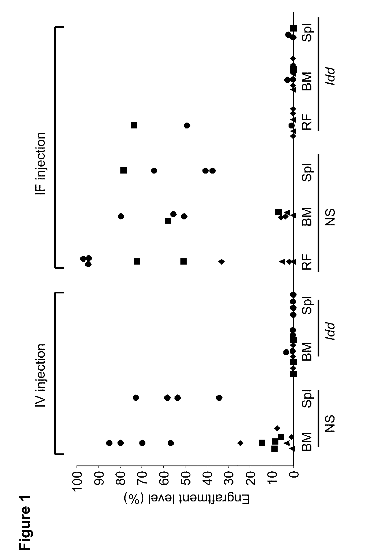 Compositions and methods for treating hematological cancers targeting the sirpalpha cd47 interaction